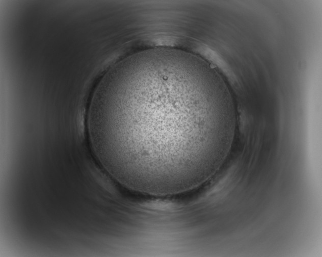 X0000088850537200706151719