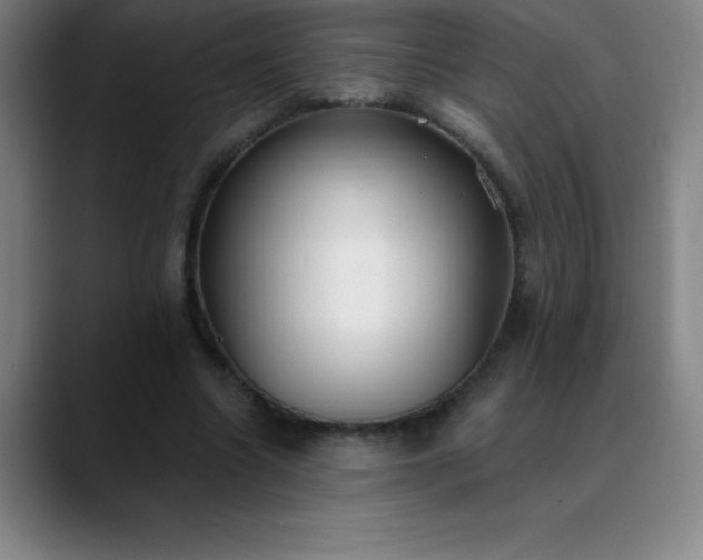 X0000088850538200706151719