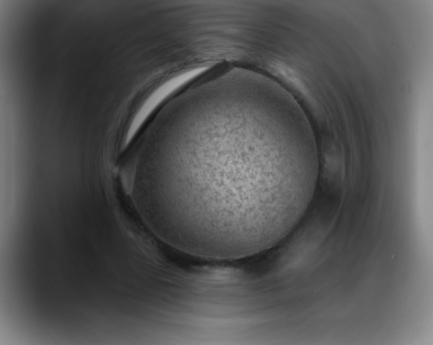 X0000088850539200706151719