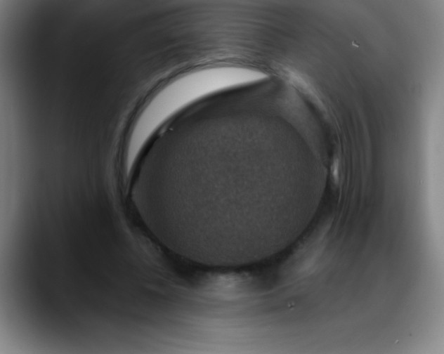 X0000088850540200706151719