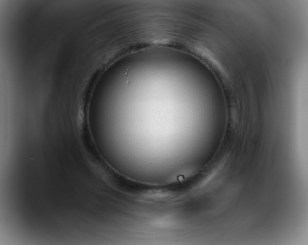 X0000088850541200706151719