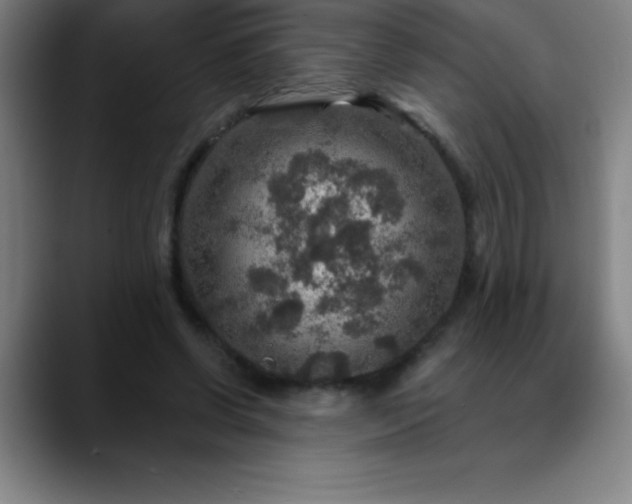 X0000088850542200706151719