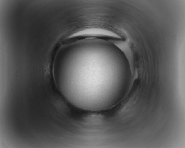 X0000088850543200706151719