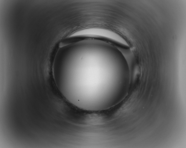 X0000088850544200706151719