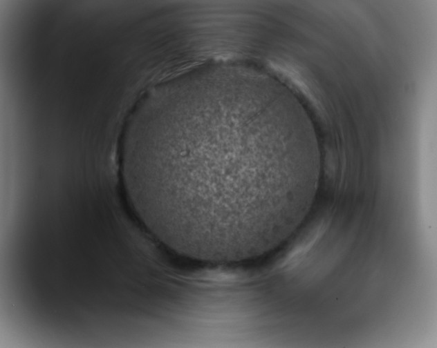 X0000088850545200706151719