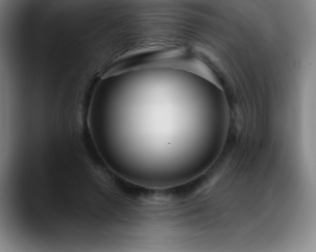 X0000088850546200706151719