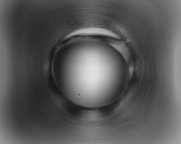 X0000088850548200706151719