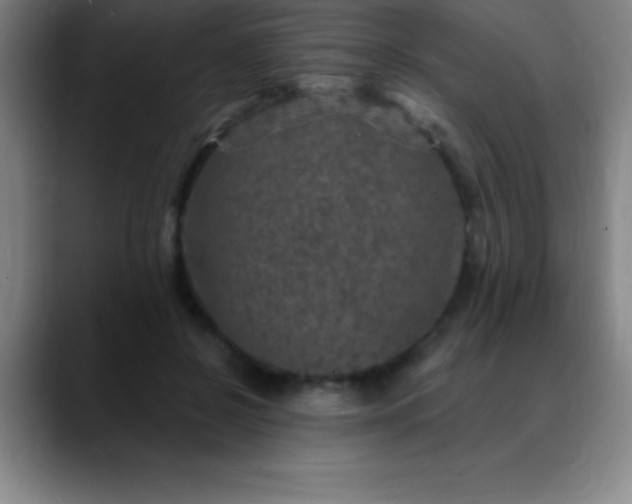 X0000088850550200706151719