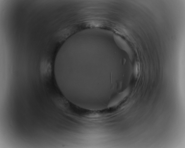 X0000088850551200706151719