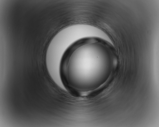 X0000088850552200706151719