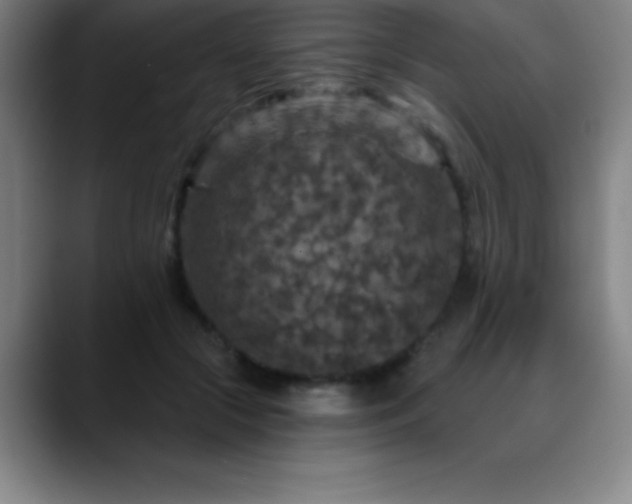 X0000088850553200706151719