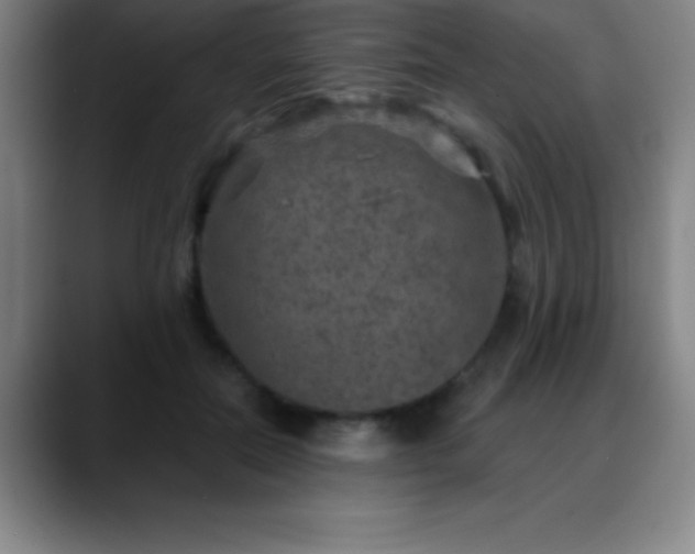 X0000088850554200706151719