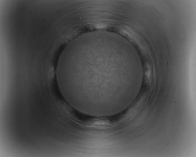 X0000088850555200706151719