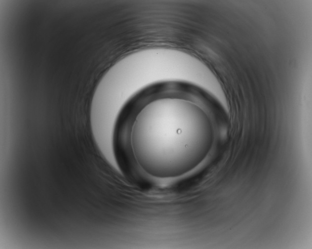 X0000088850556200706151719