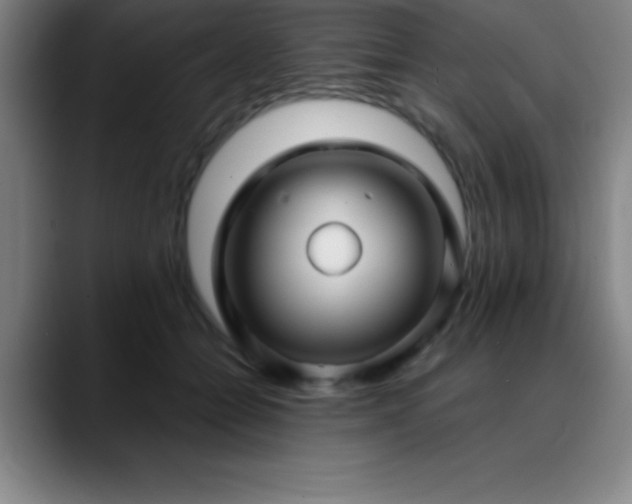 X0000088850558200706151719