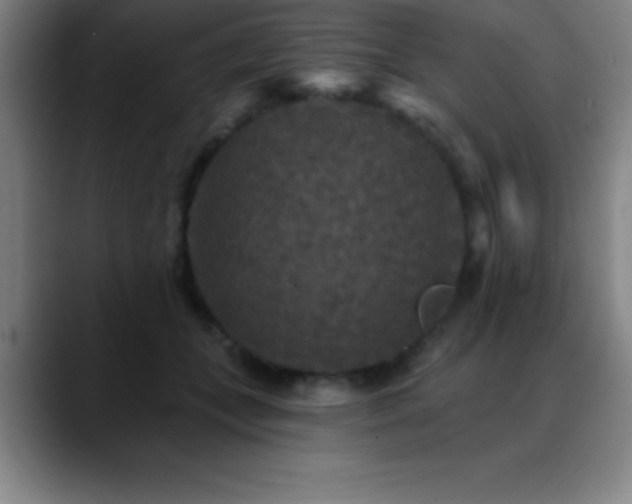 X0000088850559200706151719