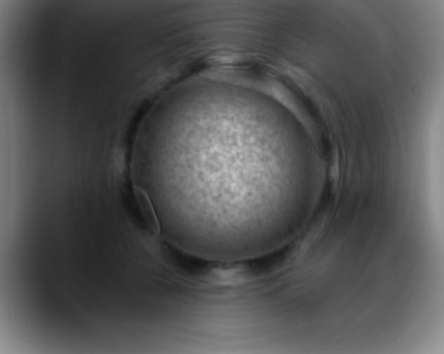 X0000088850560200706151719