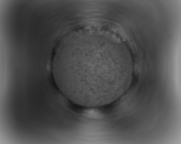 X0000088850561200706151719