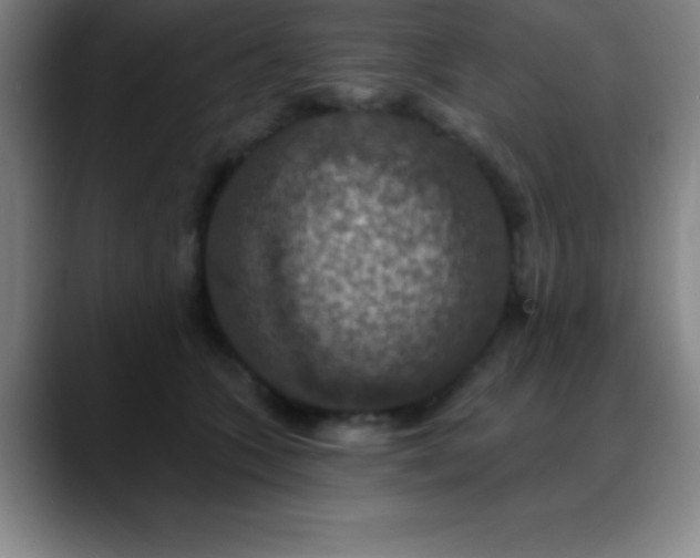 X0000088850563200706151719