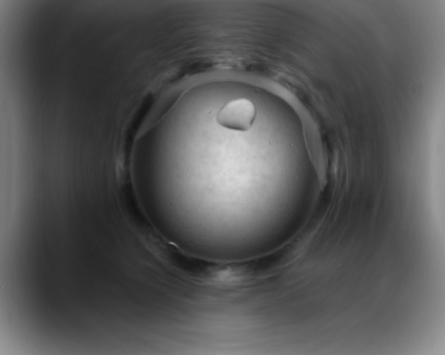 X0000088850564200706151719