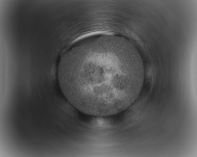 X0000088850565200706151719