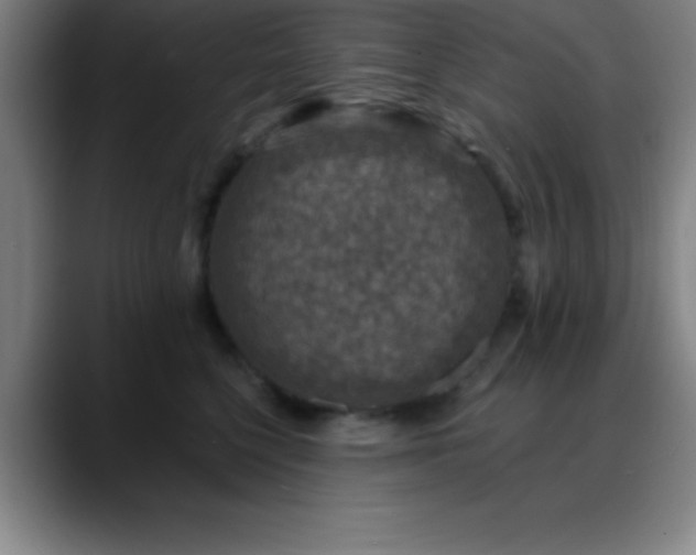 X0000088850568200706151719