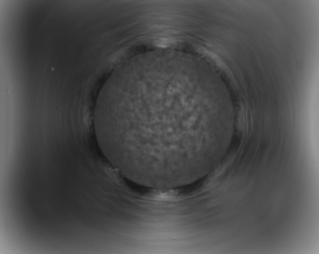 X0000088850569200706151719