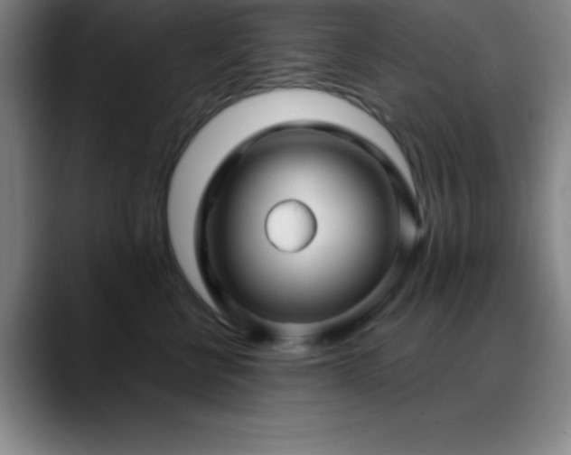 X0000088850570200706151719