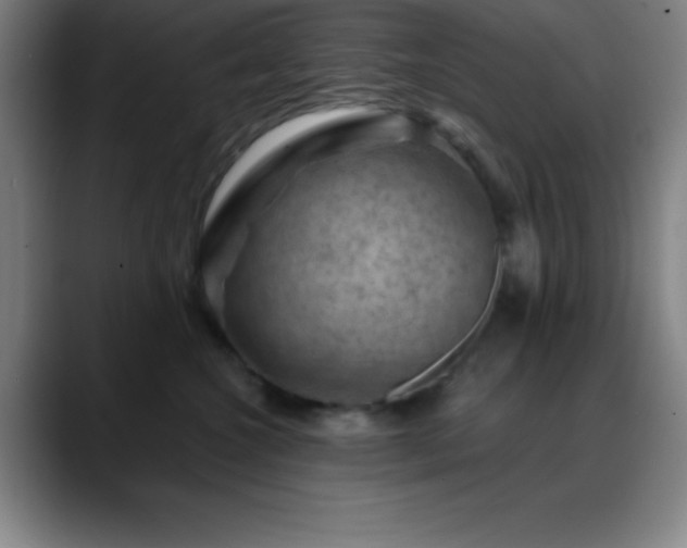 X0000088850572200706151719