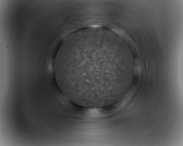 X0000088850573200706151719