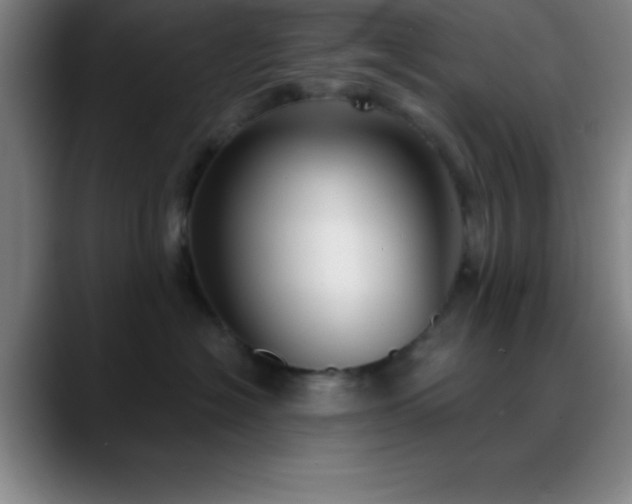 X0000088850574200706151719