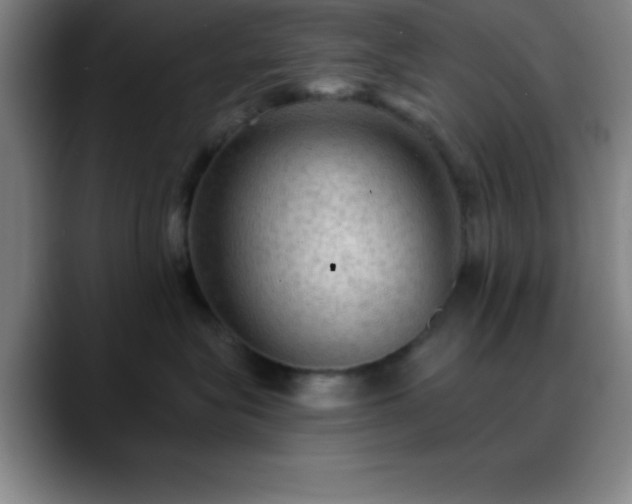 X0000088850575200706151719