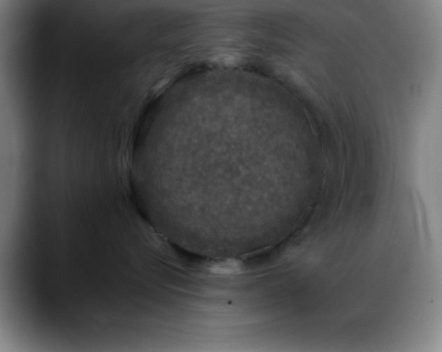 X0000088850576200706151719