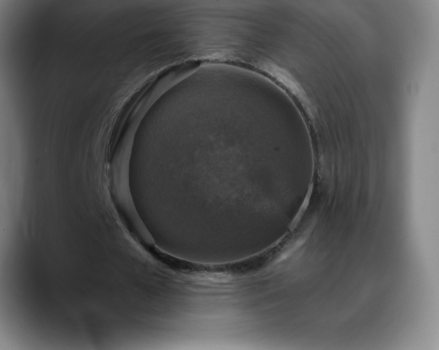 X0000088850577200706151719