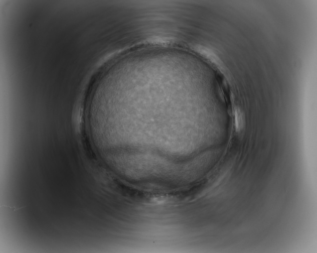 X0000088850579200706151719