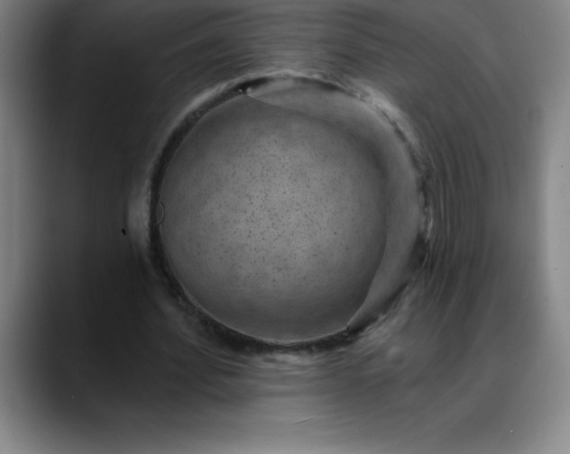 X0000088850580200706151719