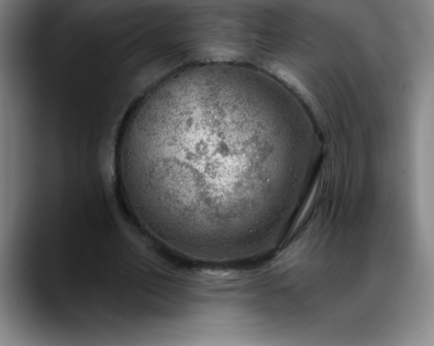 X0000088850582200706151719