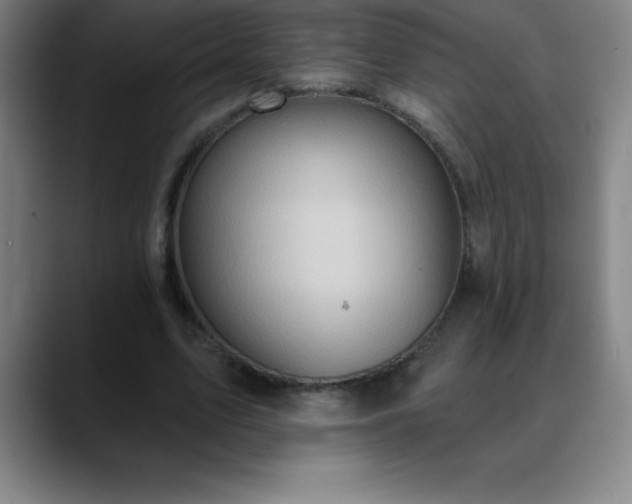 X0000088850583200706151719