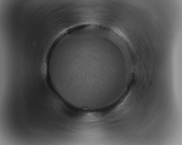 X0000088850584200706151719