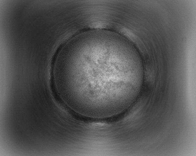 X0000088850586200706151719