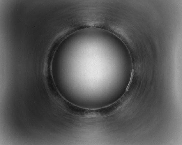 X0000088850587200706151719