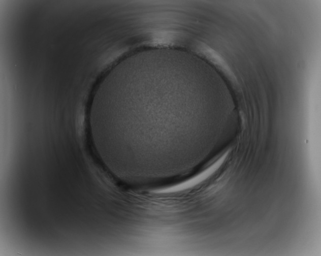 X0000088850588200706151719