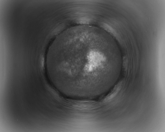 X0000088850589200706151719