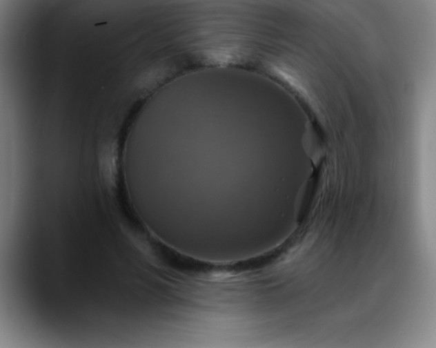 X0000088850590200706151719