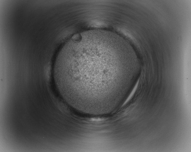 X0000088850591200706151719