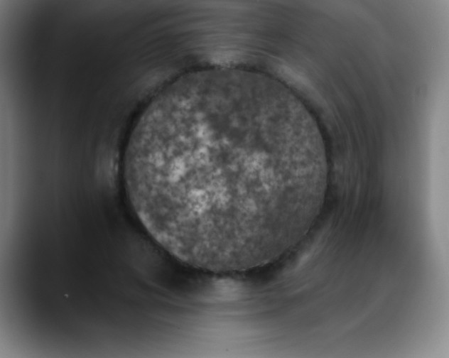 X0000088850592200706151719