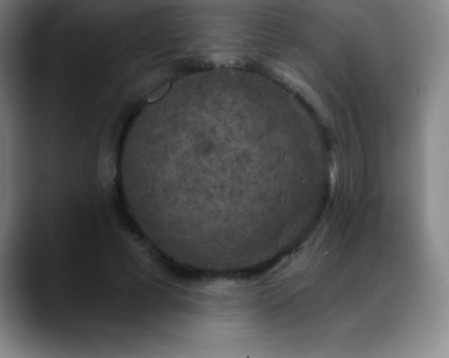 X0000088850593200706151719