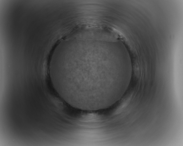 X0000088850594200706151718