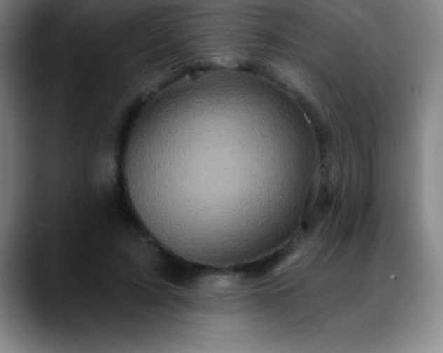 X0000088850595200706151718