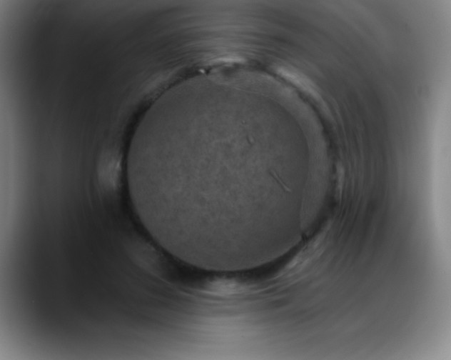 X0000088850596200706151718